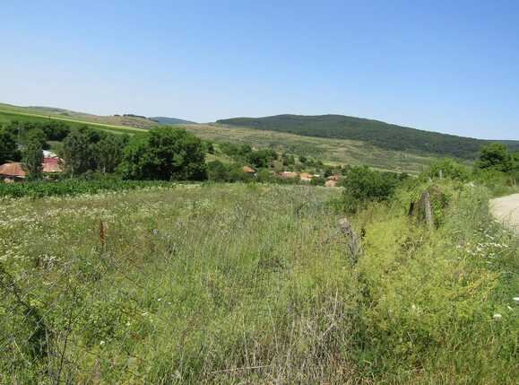 Teren de vânzare Baciu - 26743TV | BLITZ Cluj-Napoca | Poza5