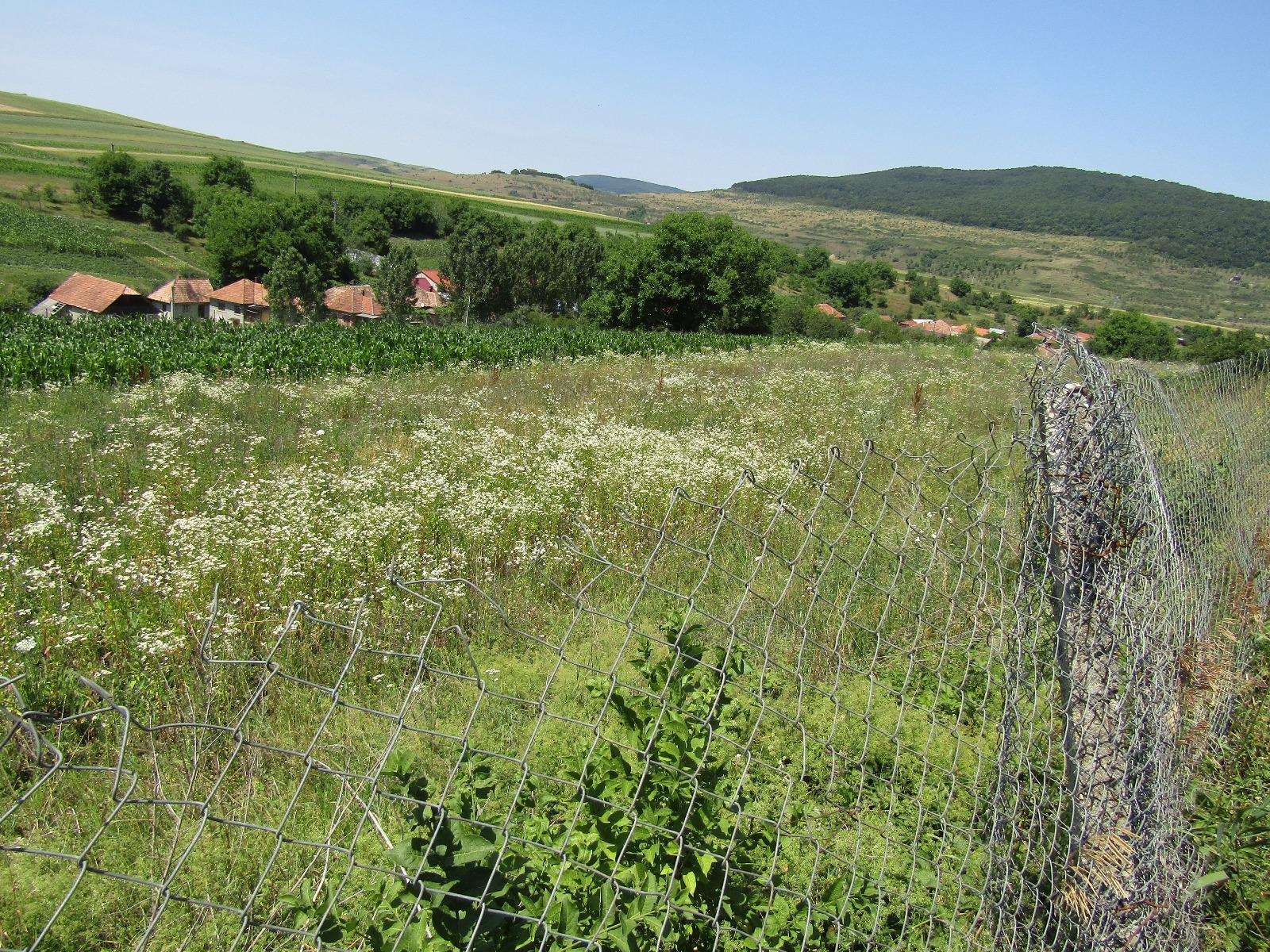 Teren de vânzare Baciu - 26743TV | BLITZ Cluj-Napoca | Poza4