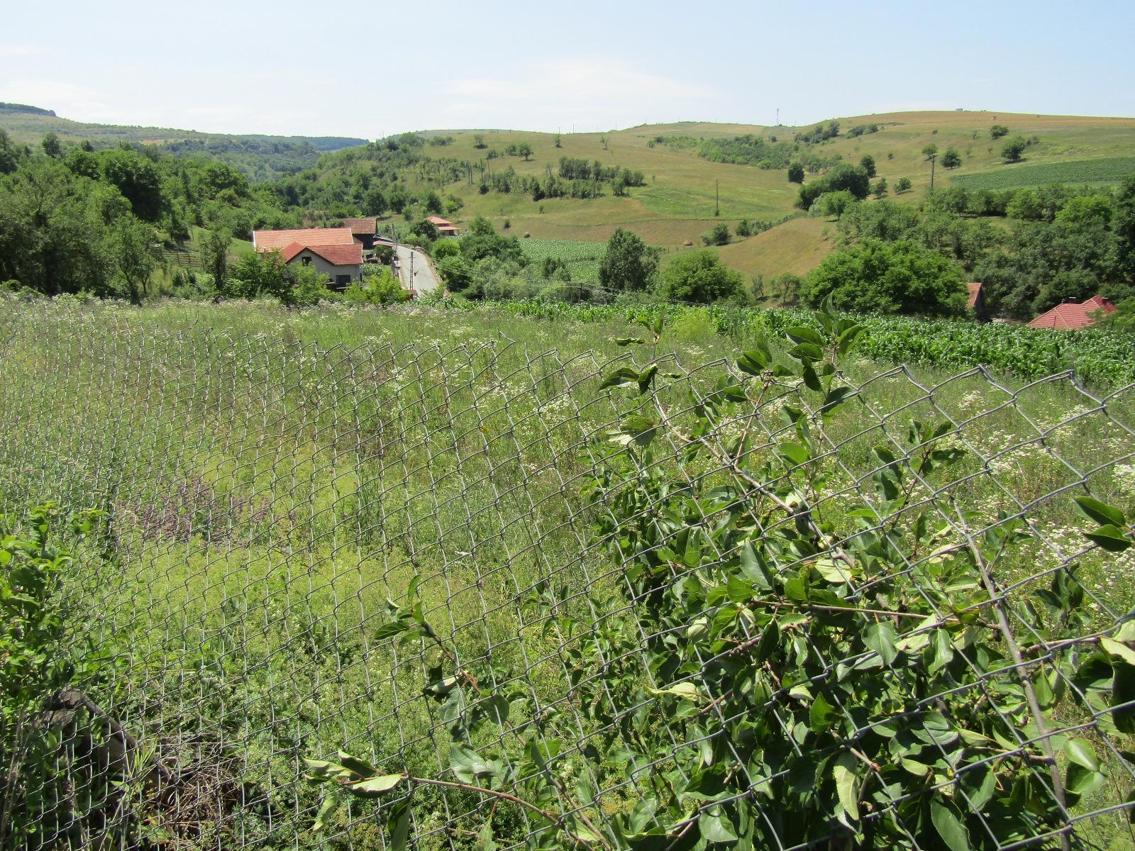 Teren de vânzare Baciu - 26743TV | BLITZ Cluj-Napoca | Poza2