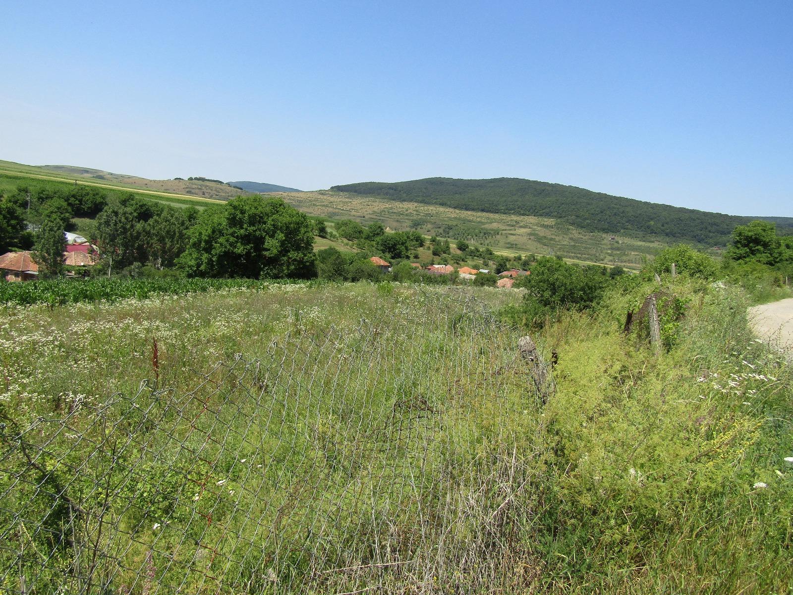 Teren de vânzare Baciu - 26743TV | BLITZ Cluj-Napoca | Poza5