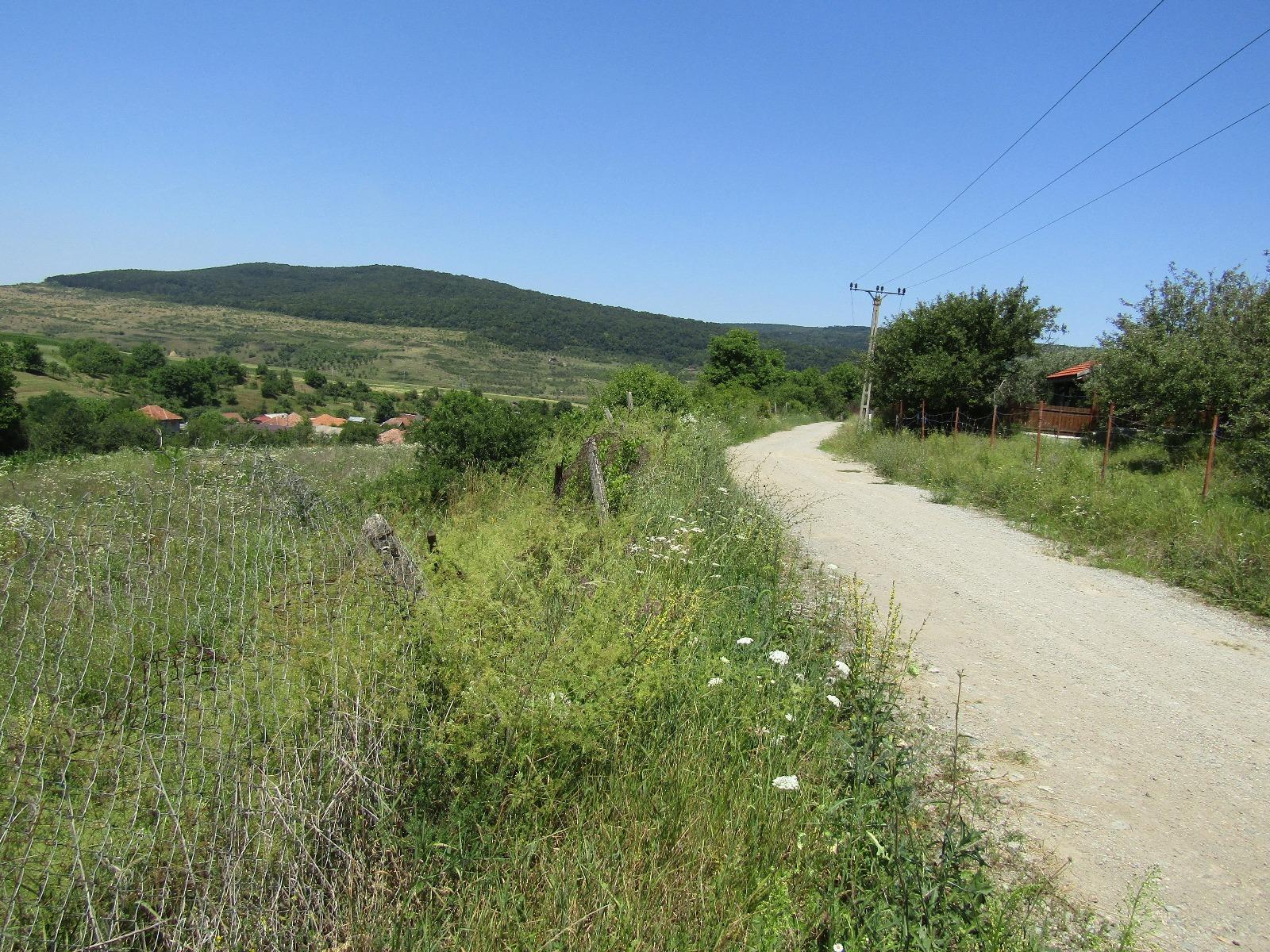 Teren de vânzare Baciu - 26743TV | BLITZ Cluj-Napoca | Poza3