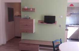 De vanzare apartament 2 camere, 34 mp, modern mobilat, zona strazii Constantin Brancusi