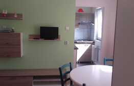 De vanzare apartament 2 camere, 34 mp, modern mobilat, zona strazii Constantin Brancusi