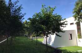 Casa 300 mp utili, teren de 2000 mp, design modern, zona exclusivista