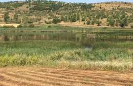 Tureni Lake Land, 5138 mp cu PUZ si PUD, la 15 minute de Cluj!