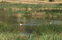 Tureni Lake Land, 5138 mp cu PUZ si PUD, la 15 minute de Cluj!