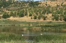 Tureni Lake Land, 5138 mp cu PUZ si PUD, la 15 minute de Cluj!