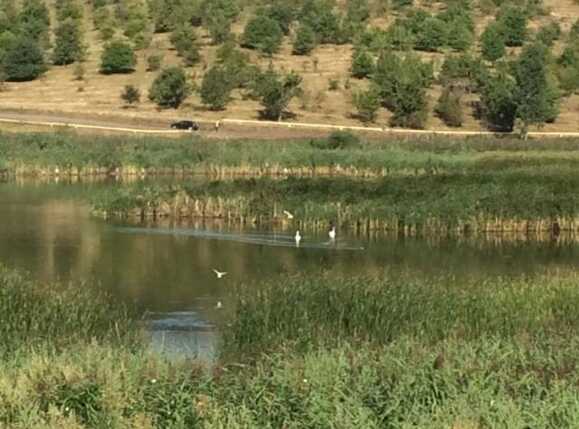 Teren de vânzare Exterior Sud - 26764TV | BLITZ Cluj-Napoca | Poza9