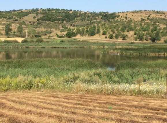 Teren de vânzare Exterior Sud - 26764TV | BLITZ Cluj-Napoca | Poza1