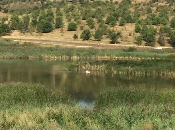 Teren de vânzare Exterior Sud - 26764TV | BLITZ Cluj-Napoca | Poza8