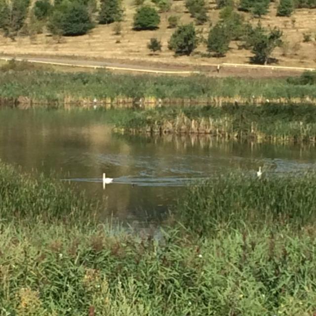 Teren de vânzare Exterior Sud - 26764TV | BLITZ Cluj-Napoca | Poza10