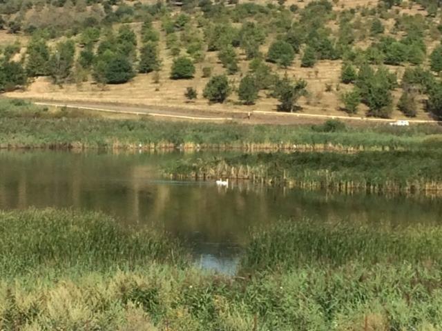 Teren de vânzare Exterior Sud - 26764TV | BLITZ Cluj-Napoca | Poza8