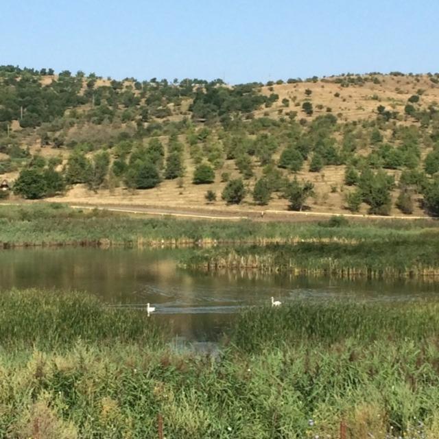 Teren de vânzare Exterior Sud - 26764TV | BLITZ Cluj-Napoca | Poza11