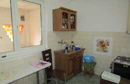 Casa compusa din 3 apartamente, 225 mp, garaj, zona Kaufland