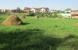 Casa demolabila, 60 mp, teren de 7.000 mp, front 30 ml, zona Faget