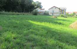 Casa demolabila, 60 mp, teren de 7.000 mp, front 30 ml, zona Faget