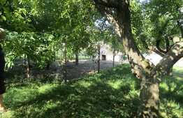 Casa demolabila, 60 mp, teren de 7.000 mp, front 30 ml, zona Faget