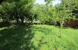 Casa demolabila, 60 mp, teren de 7.000 mp, front 30 ml, zona Faget