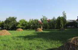 Casa demolabila, 60 mp, teren de 7.000 mp, front 30 ml, zona Faget