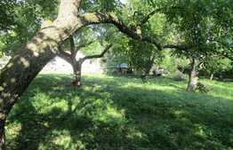 Casa demolabila, 60 mp, teren de 7.000 mp, front 30 ml, zona Faget