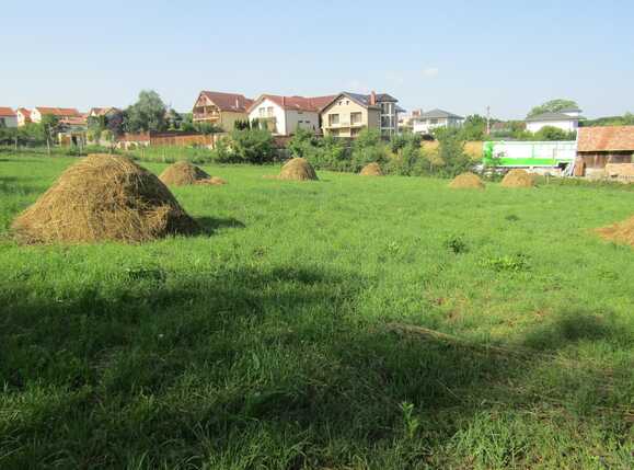 Casa de vânzare 1 camera Făget - 26811CV | BLITZ Cluj-Napoca | Poza5