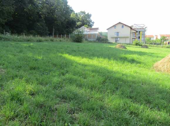 Casa de vânzare 1 camera Făget - 26811CV | BLITZ Cluj-Napoca | Poza2