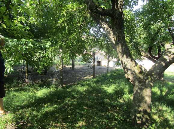 Casa de vânzare 1 camera Făget - 26811CV | BLITZ Cluj-Napoca | Poza7