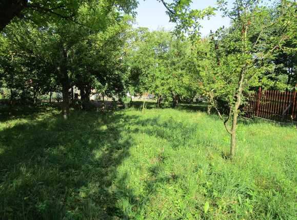 Casa de vânzare 1 camera Făget - 26811CV | BLITZ Cluj-Napoca | Poza4