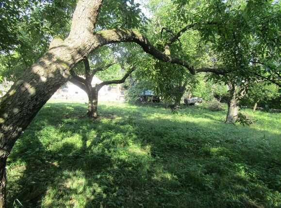 Casa de vânzare 1 camera Făget - 26811CV | BLITZ Cluj-Napoca | Poza8