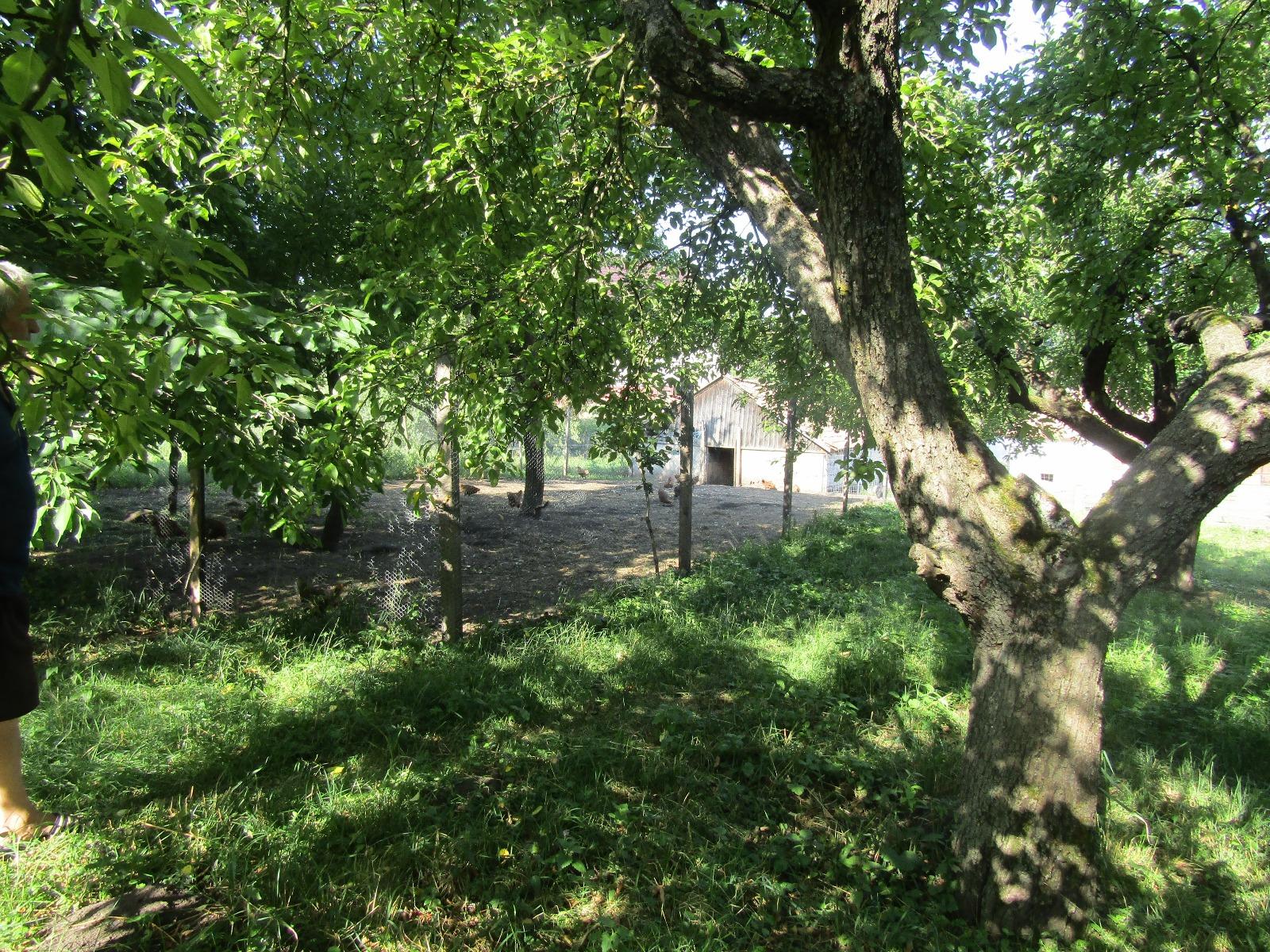 Casa de vânzare 1 camera Făget - 26811CV | BLITZ Cluj-Napoca | Poza7