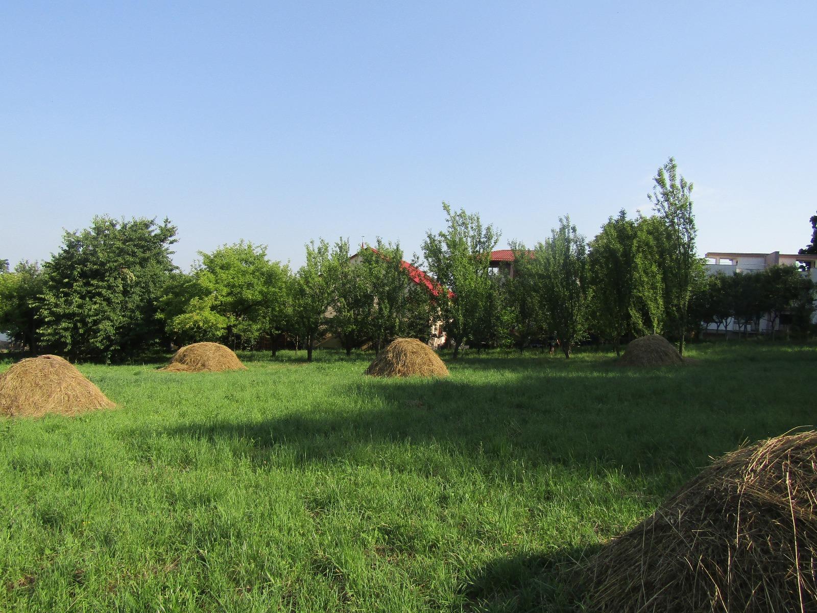 Casa de vânzare 1 camera Făget - 26811CV | BLITZ Cluj-Napoca | Poza3