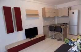 2 camere, 46 mp, imobil nou, mobilat modern, garaj, zona strazii Traian