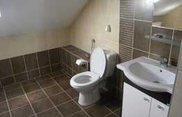 Apartament 4 camere, imobil tip casa/vila, 130 mp, zona strazii Campului