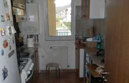 Apartament cu 2 camere, 56.2 mp, decomandat! Terasa de 13.7 mp! Zona Porii! 