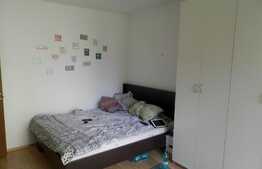 Apartament cu 2 camere, 56.2 mp, decomandat! Terasa de 13.7 mp! Zona Porii! 