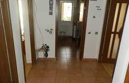 Apartament cu 2 camere, 56.2 mp, decomandat! Terasa de 13.7 mp! Zona Porii! 