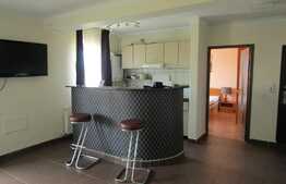 Apartament 3 camere, 62 mp, terasa de 10 mp, complet mobilat, zona VIVO