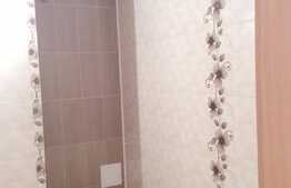 1 camera, 42 mp, imobil nou, etaj intermediar, zona Calea Borhanciului