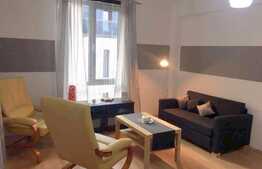 Apartament 1 camera, 45 mp, decomandata, mobilata modern, zona strazii Plopilor