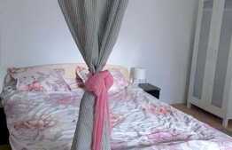 Apartament 1 camera, 45 mp, decomandata, mobilata modern, zona strazii Plopilor