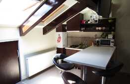 De vanzare apartament 1 camera, 52 mp, zona strazii Dunarii