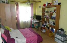 De vanzare apartament 2 camere, 36,70 mp, zona Casa Piratilor