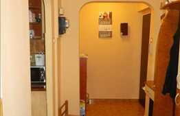 Vanzare 2 camere, 56 mp in zona Diana, izolat termic