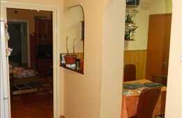 Vanzare 2 camere, 56 mp in zona Diana, izolat termic