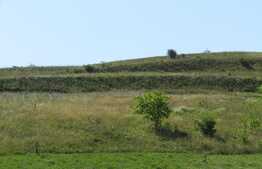 Vanzare teren 500 mp, front 21 ml, zona linistita, nou dezvoltata