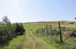 Vanzare teren 500 mp, front 21 ml, zona linistita, nou dezvoltata