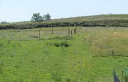 Vanzare teren 500 mp, front 21 ml, zona linistita, nou dezvoltata