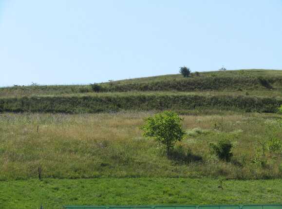 Teren de vânzare Apahida - 26903TV | BLITZ Cluj-Napoca | Poza2