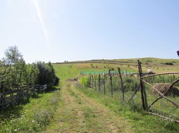 Teren de vânzare Apahida - 26903TV | BLITZ Cluj-Napoca | Poza1