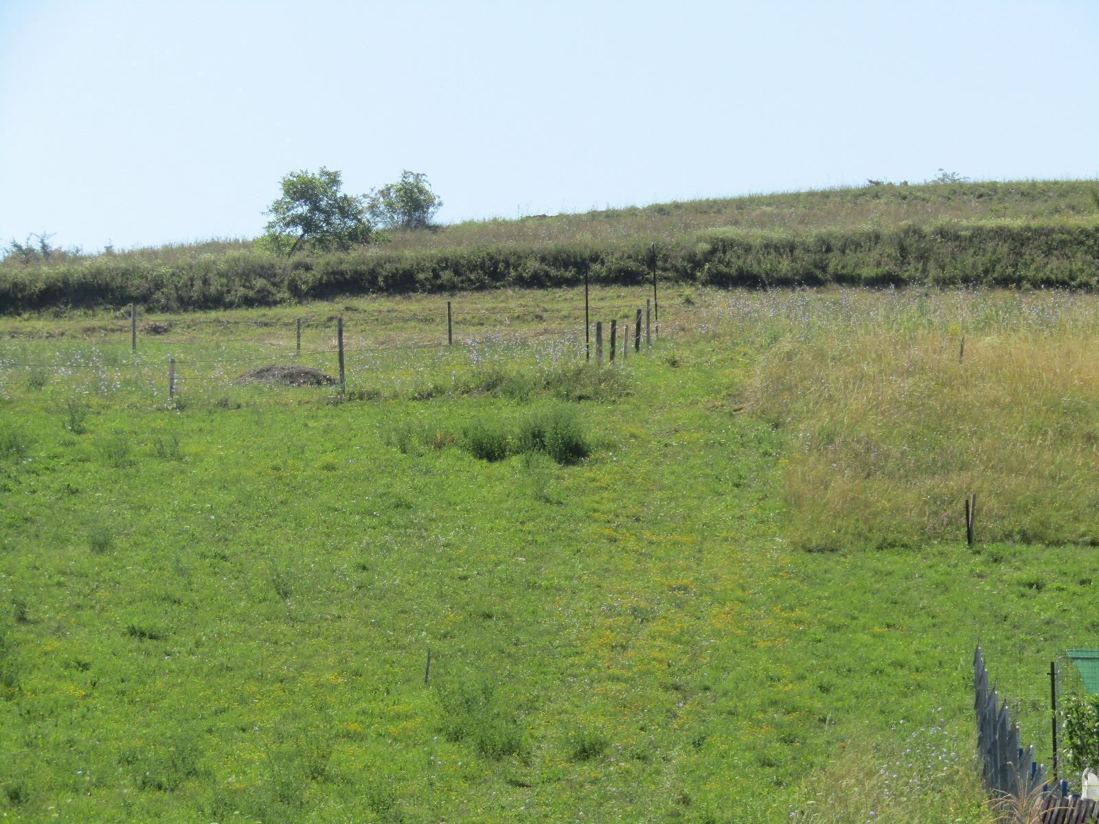 Teren de vânzare Apahida - 26903TV | BLITZ Cluj-Napoca | Poza3